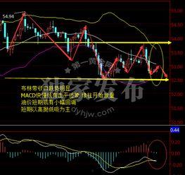 最新爆料油价走势图,最新动态与未来趋势分析 第1张 最新爆料油价走势图,最新动态与未来趋势分析 第1张